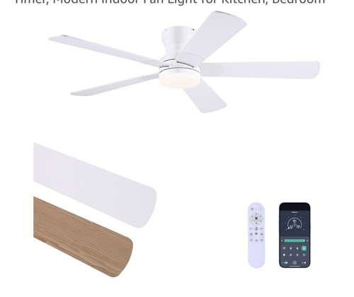 Ceiling fan with - led, light