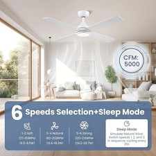 CJOY 48" Ceiling Fan with