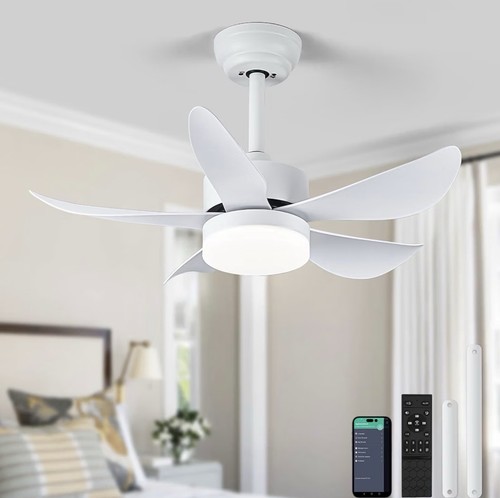 Ceiling fans with lights and - ceiling,