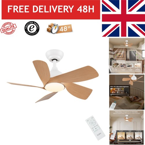 Cjoy inch ceiling fan - cjoy, 30