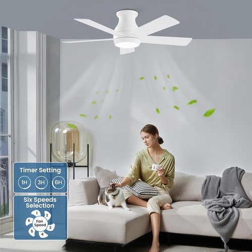 Cjoy fan lights ceiling - lights,