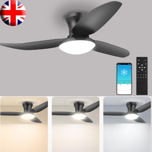 Large led ceiling - large,