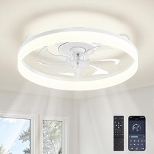 Ceiling Fans with Lights and