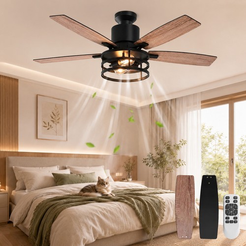 Large ceiling fan with light - large,