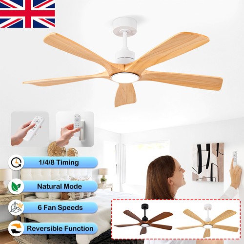 Led ceiling fan with - ceiling,