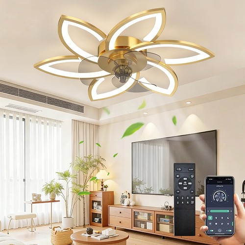 Led ceiling fan with - fan,