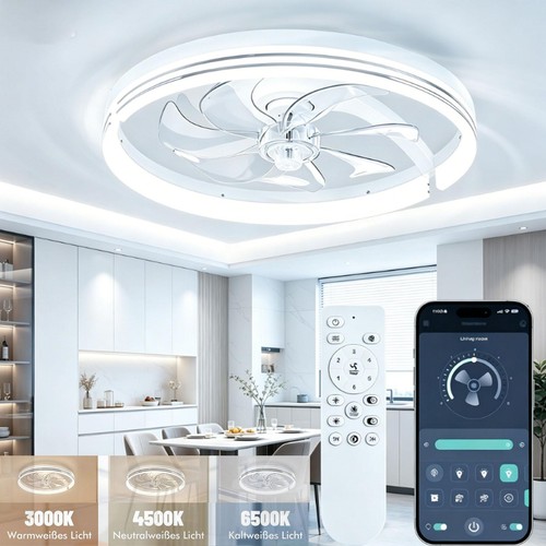 Large speed led ceiling fan - large,