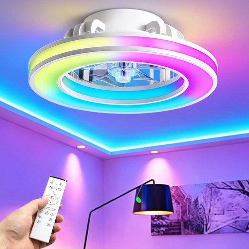 Ceiling fan with light indoor - ceiling,