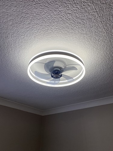 Modern ceiling fan blade - modern,