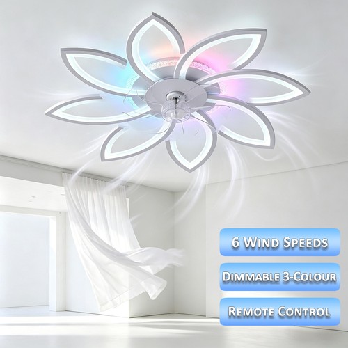 Ceiling fan with - lights, 6