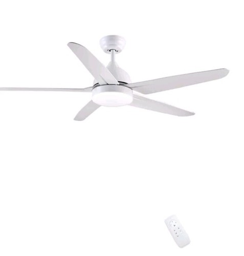 Cjoy ceiling fan with - fan,