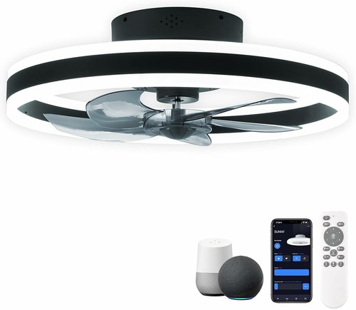 Chanfok ceiling fan light - 20",