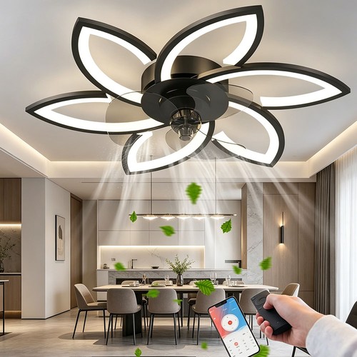 Ceiling fan with light - with, modern