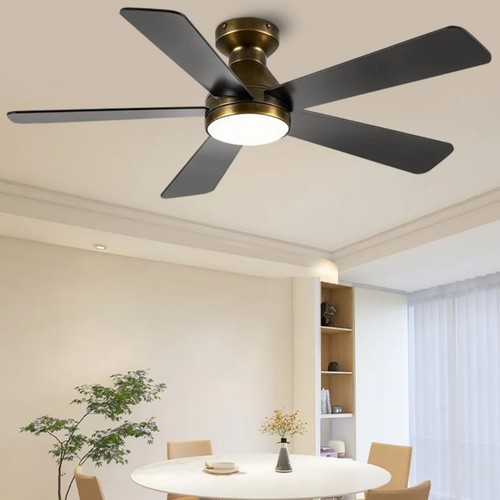 Dimmable led ceiling fan - ceiling,