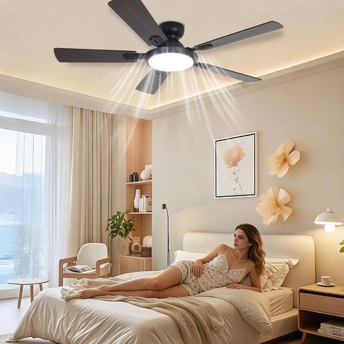 Modern ceiling fan with - ceiling,