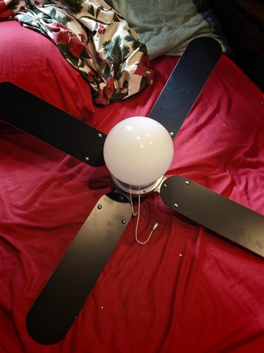 Ceiling fan with light - ceiling,