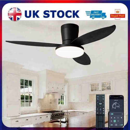 Led ceiling fan - ceiling,