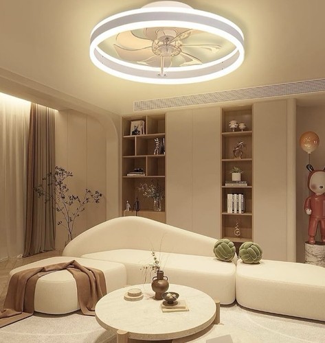 Ceiling fan light - fan,