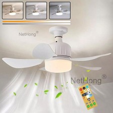 Modern Ceiling Fan With LED