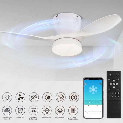 Large led ceiling fan with - led,