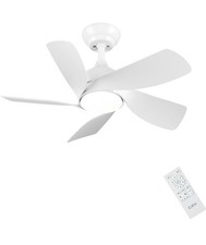 CJOY 30'' Fan Lights Ceiling