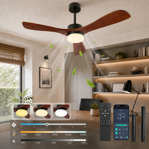 Smart ceiling fan with - fan,
