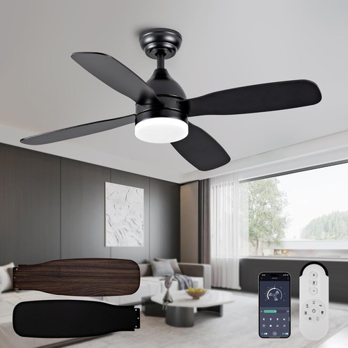 Ceiling fans with - ceiling, and