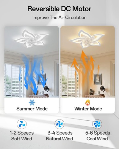 Ceiling fans with - fans,