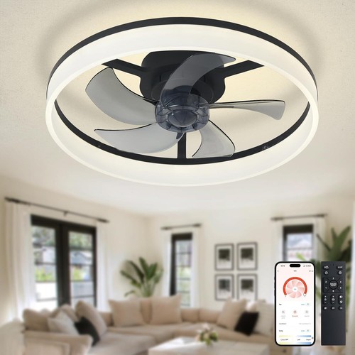 Ceiling fan with light - ceiling,