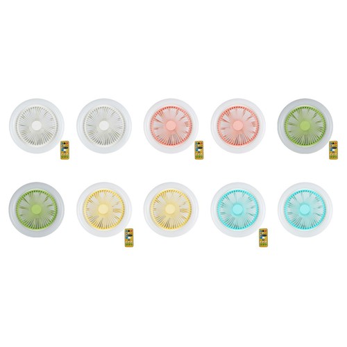 Ceiling fan with lights - fan,