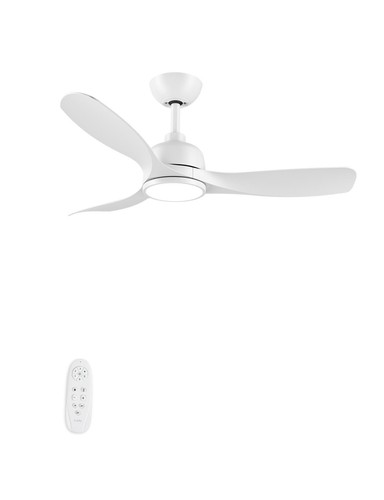 Cjoy ceiling fan with - 42",