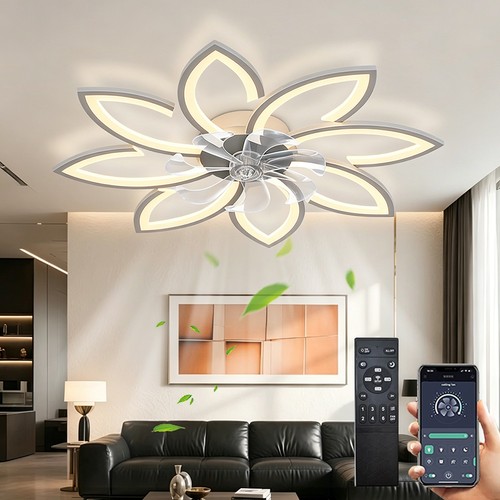 Ceiling fan with light - fan, light,quiet