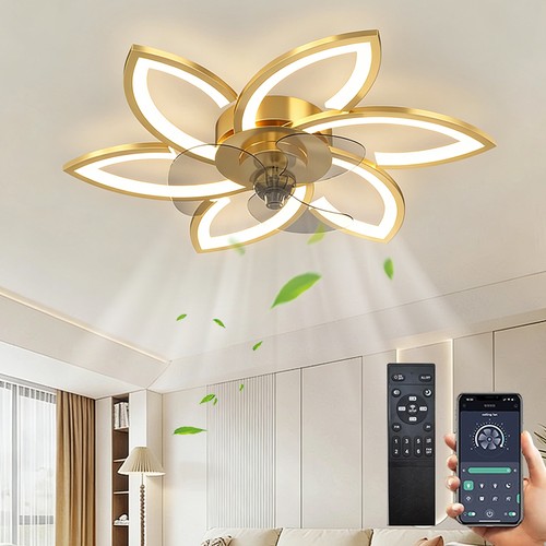 Ceiling fan with - ceiling,