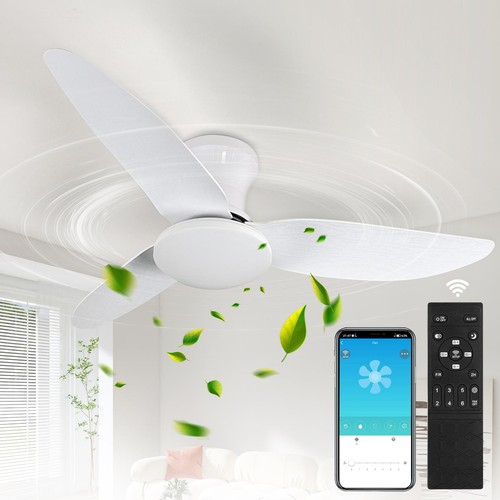 Large led ceiling - ceiling, fan