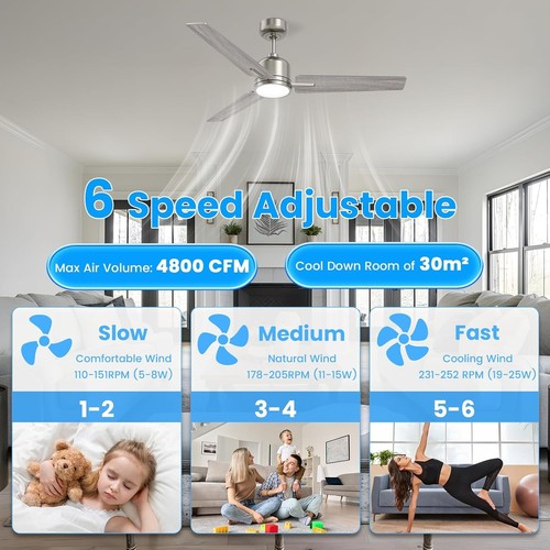Ceiling fan with lights - ceiling,