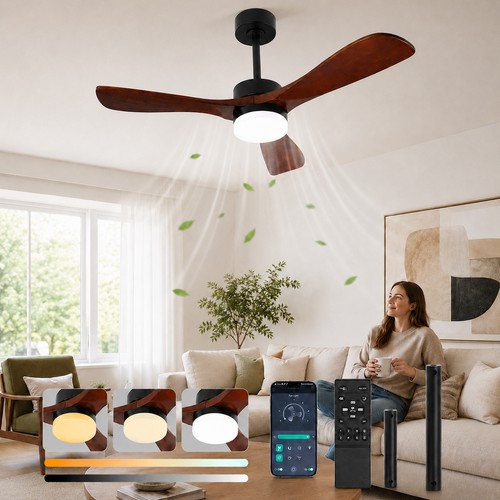Large ceiling fan with - large,
