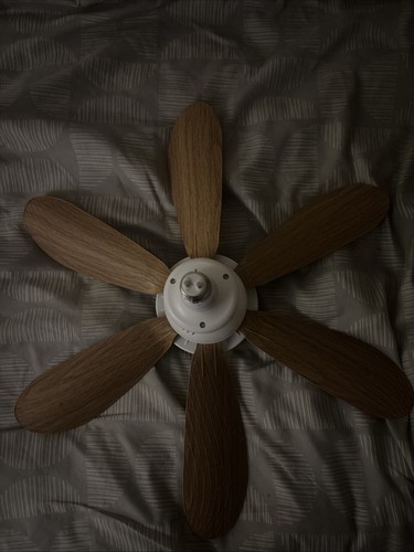 Blade b22 ceiling - 6-blade,