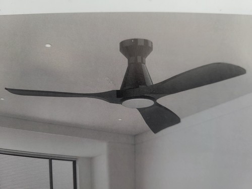 Ceiling fan with - light, &