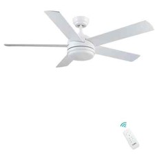 CJOY Ceiling Fans with Two