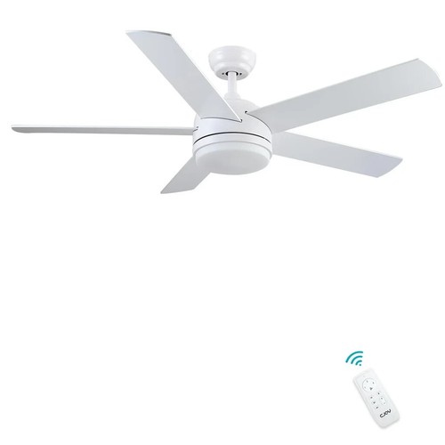 Cjoy ceiling fans with - with, two