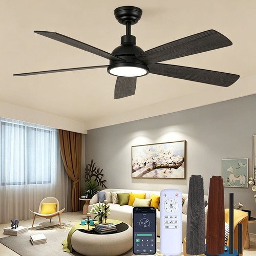 Ceiling fan light with remote - ceiling,